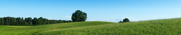Environmental Sustainability